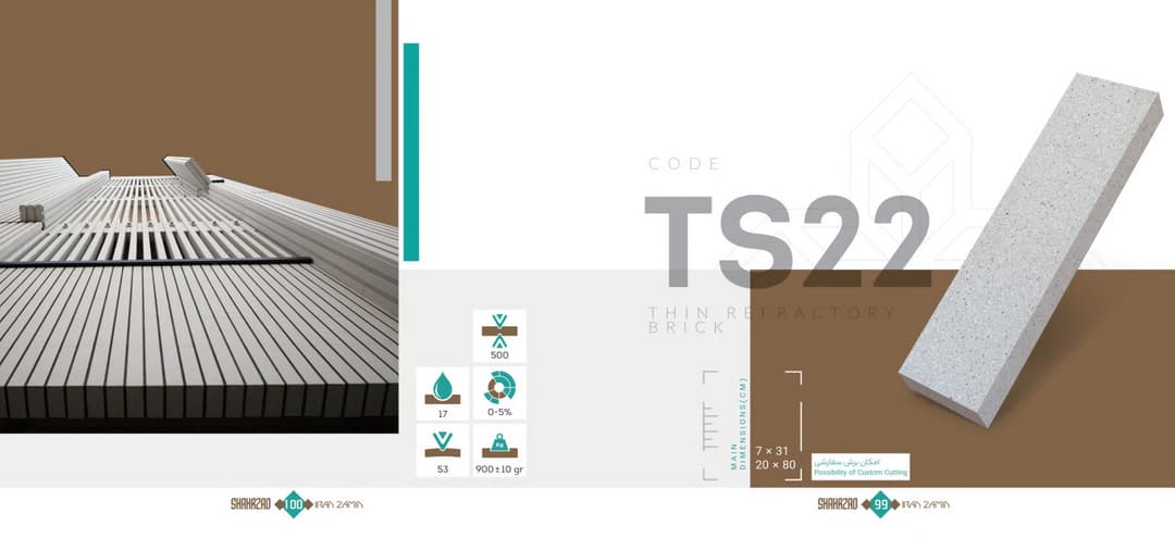 TS 22