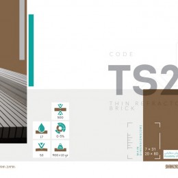 TS 22