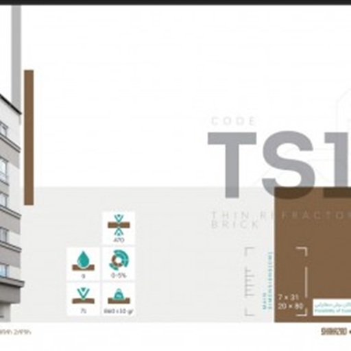 TS 1