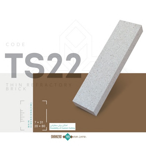 TS 22