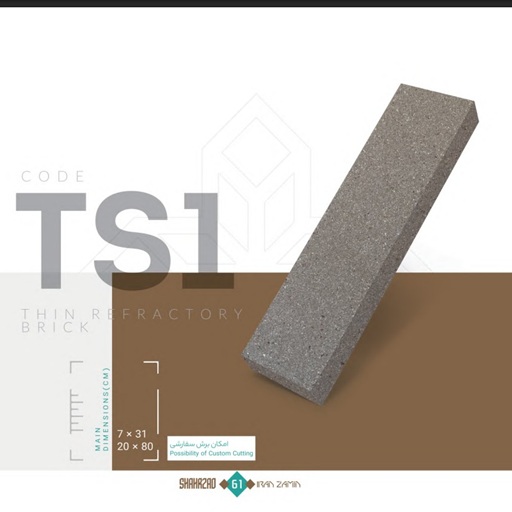 TS 1