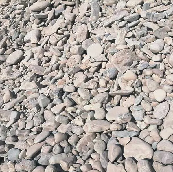 شن پشت سرندی ( عمده )